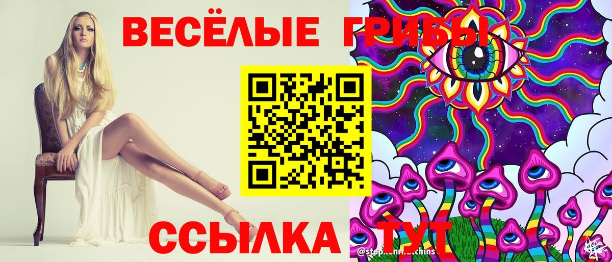Псилоцибиновые грибы Psilocybine cubensis  Вход с VPN  Елизово 
